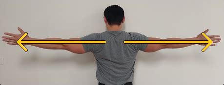 The 7 Best Lower Trap Exercises - Posture Direct