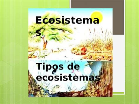 Ppt Ecosistemas Tipos De Ecosistemas Un Ecosistema Es Un Conjunto De