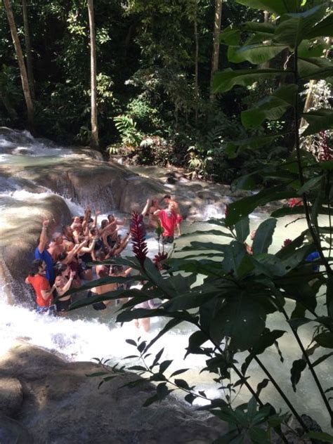 Jamaica S Dunn S River Falls And River Tubing Tour Getyourguide