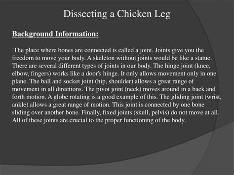 Ppt Dissecting A Chicken Leg Powerpoint Presentation Free Download