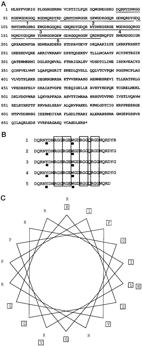 Amino Acid Sequence Of The TBRGG1 Protein In Panel A The Underlined