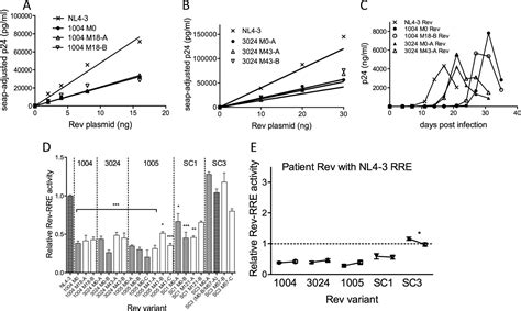 Limited Nucleotide Changes In The Rev Response Element Rre During Hiv