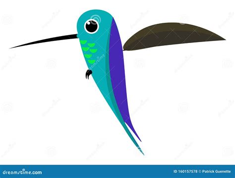 Dibujo De Color O Vector De P Jaro Colibri Colorido Ilustraci N Del