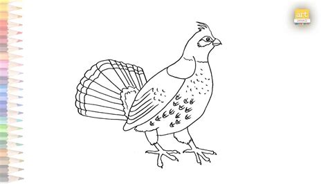 Ruffed Grouse Drawing Easy How To Draw Ruffed Grouse Step By Step