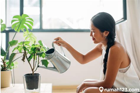 Cara Menyiram Tanaman Yang Benar Dijamin Tumbuh Lebih Subur