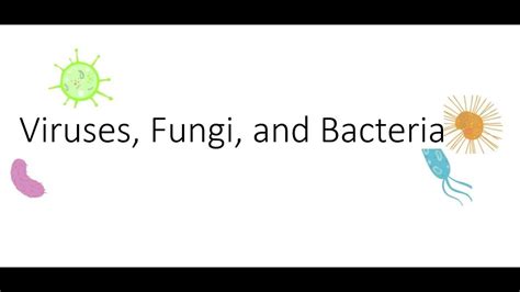 Viruses Fungi And Bacteria Youtube