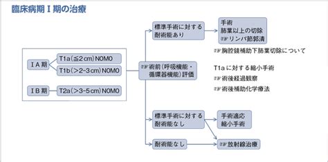 Ebmの手法による肺癌診療ガイドライン2016年版