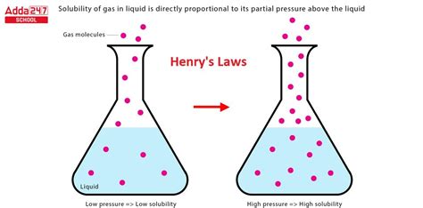 Henry S Law Examples Formula Statement Derivation