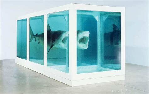 Why Did Damien Hirst Put a Shark in a Tank?