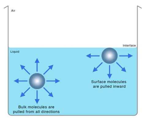 Exploring the Fascinating World of Surface Tension in Physics | Physics Girl