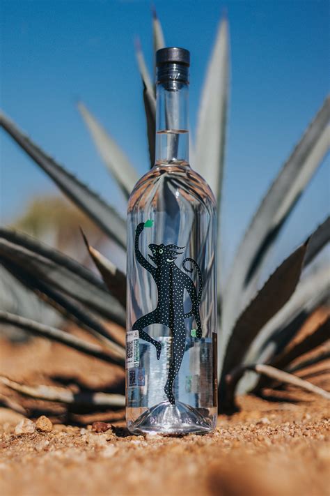 Nuevas Botellas 9 EspÍritus Mezcal — 9 Espíritus Mezcal