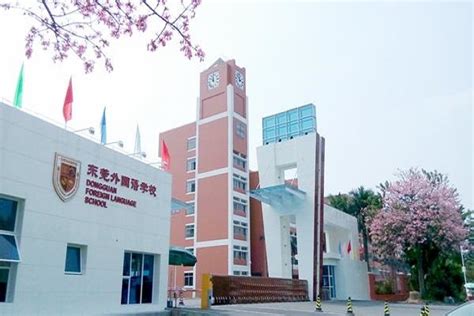 Dongguan Foreign Language School | ISAC Teach Jobs