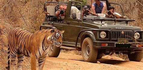 Satpura Wildlife Tour With 02 Jeep Safari