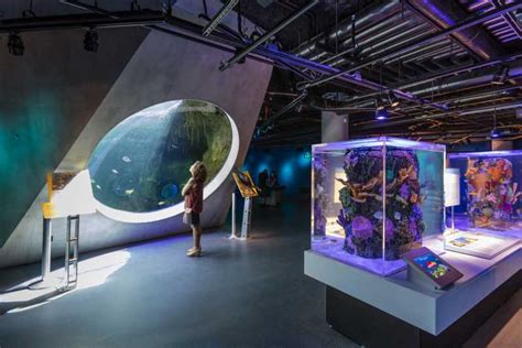 Miami Biglietto Dingresso Al Frost Science Museum E Al Planetario