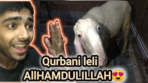 Allhamdulillah Qurbani Leli Vlog Sheikhupura Qurbanivlog Foryou