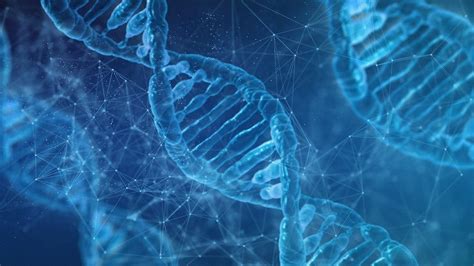 Il Test Di Frammentazione Del Dna Spermatico Artebios Procreazione