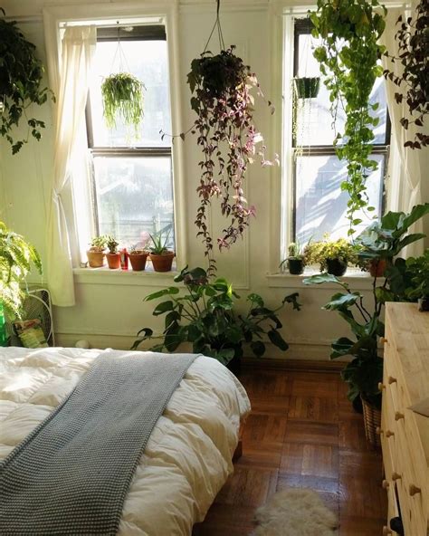 Bedroom With Lots Of Plants Luxury Urban Jungle Bloggers On Instagram