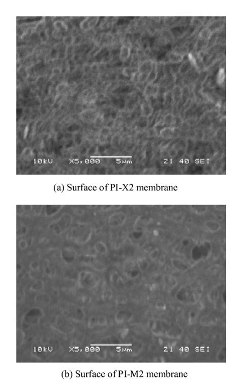 Figure From Preparation And Properties Of Molecular Sieve Supported