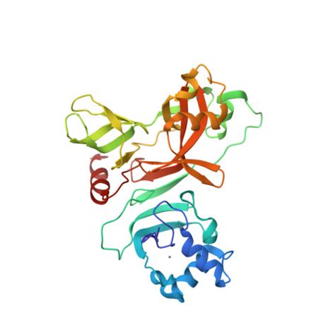 Rcsb Pdb Fa Crystal Structure Of N Terminus Of The Non Structural