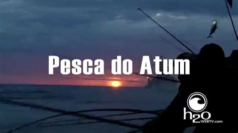 Pesca Do Atum Youtube