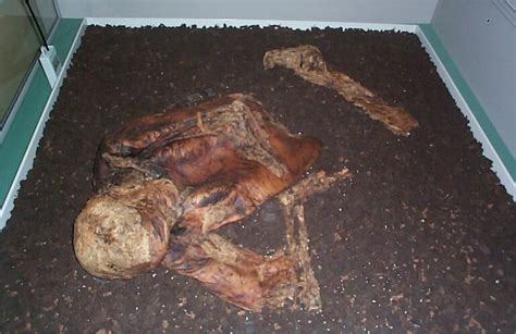 Clonycavan Man A Bog Body Meath History Hub With Noel French