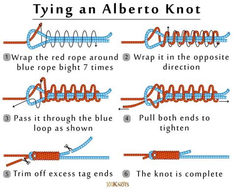 How to Tie an Alberto Knot (Modified Albright Knot)? Tips & Steps