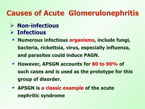 Acute Glomerulonephritis What To Know