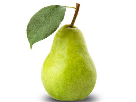 ΑΧΛΑΔΙΑ SANTA MARIA