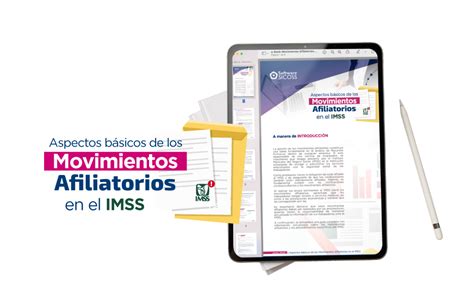 Aspectos B Sicos De Los Movimientos Afiliatorios En El Imss