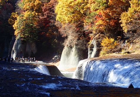 The Ultimate Guide to Autumn Foliage In and Around Tokyo | Tokyo Weekender