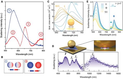 Influences Of Gap Contents And Morphologies On The Gap Plasmons A A Download Scientific