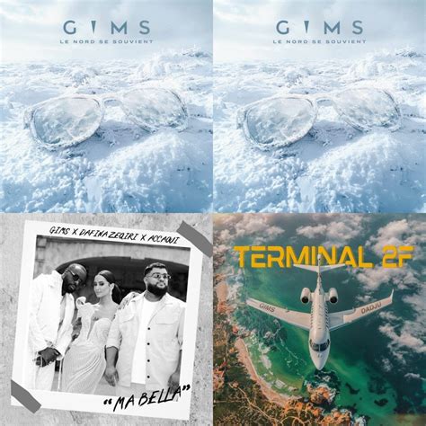 Gims Albums Complet Ldvm Le Fl Au Playlist Nouveaut S