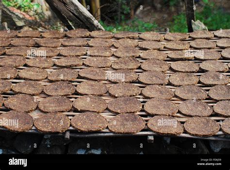 Drying food hi-res stock photography and images - Alamy