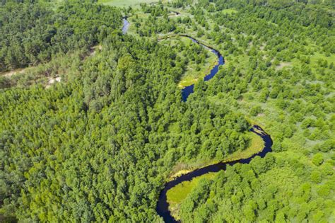 Dredging Of The Pripyat River Completed Save Polesia