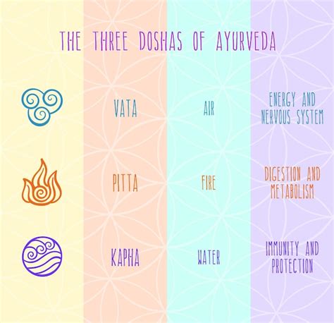 Premium Vector Three Doshas Vata Pitta Kapha Ayurvedic Symbols With