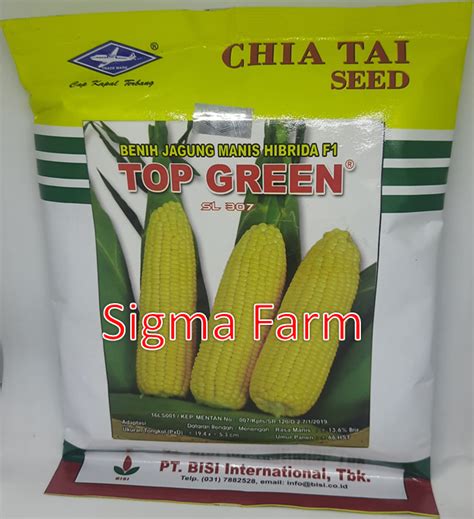 Benih Jagung Manis Hibrida F Top Green Gram Cap Kapal Terbang