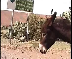 Vídeos porno gay de mulato gratis en xHamster para 2025 Nuevos vídeos cada día xHamster