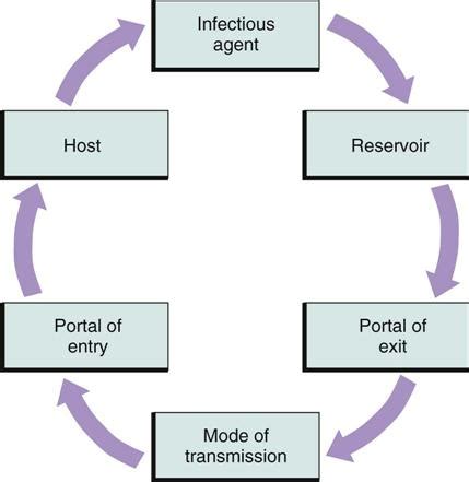 Infection Prevention and Control | Nurse Key