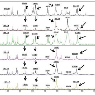 Representative MALDI TOF Mass Spectra Profiles And Characteristic Peaks