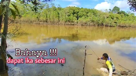 Ketar Ketir Mancing Ikan Dapat Ukuran Monster YouTube