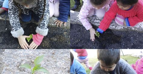 HORTAS ESCOLARES