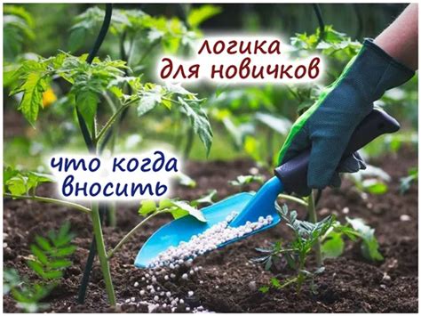 Состав и использование удобрений NPK. Удобрение npk что это. | Ремонт ...
