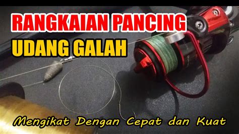 Rangkaian Mata Pancing Udang Galah Terbaik Youtube