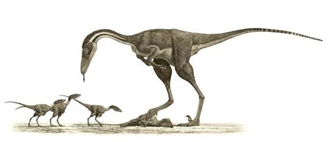 Saurornithoides Mongoliensis Paleoart By Raul Martin