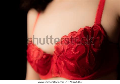 Beautiful Woman Sexy Luxury Red Lingerie Stock Photo 1378964465 Shutterstock