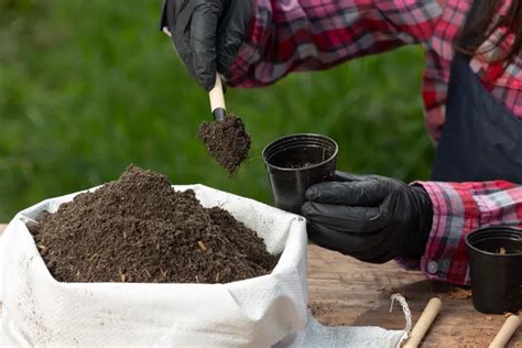 Utiliser Du Fumier De Poule Comme Engrais Top Conseils Au Jardin