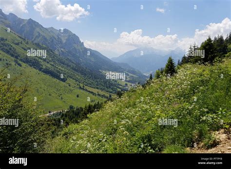 Meadows Valleys And Mountains From A Footpath Trail In The Forests