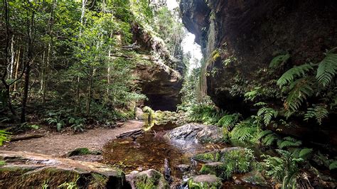 Ian Evans Grand Canyon Track Blue Mountains Nsw