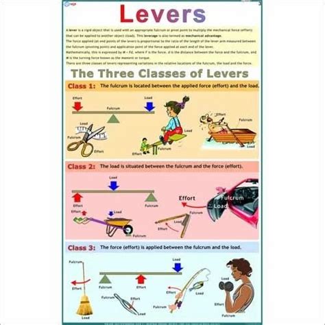 Different Types Of Levers