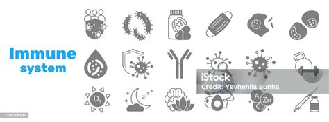 Human Immune System Silhouette Icon Set Virus Protection Hygiene Shield Bacterial Prevention